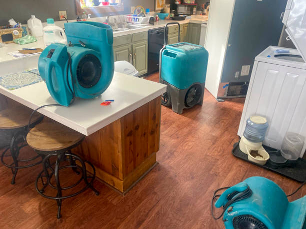 Best Water damage restoration near me  in Ruston, LA