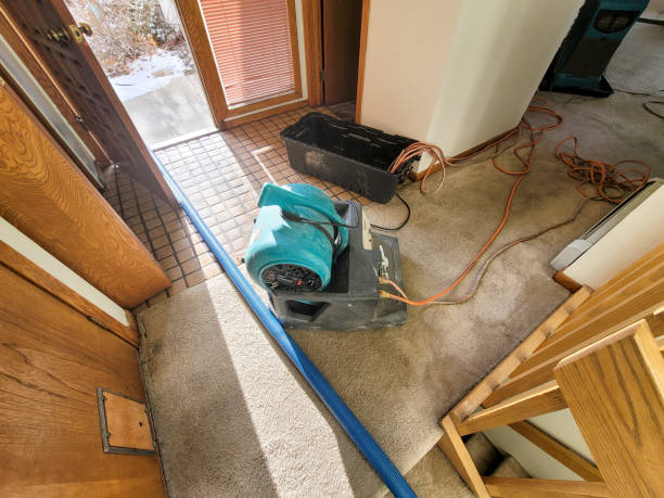 Best Mold removal after water damage  in Ruston, LA