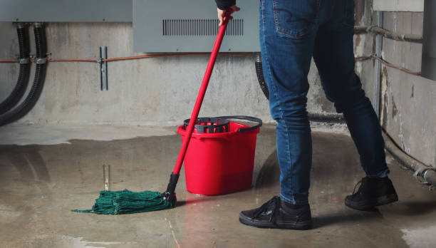 Best 24/7 water damage repair  in Ruston, LA