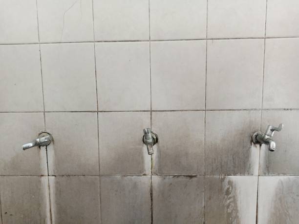 Best Professional water damage repair  in Ruston, LA