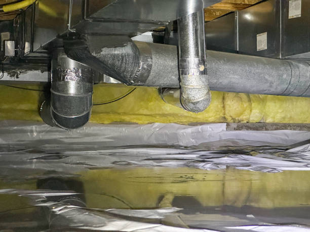 Best Flood damage cleanup  in Ruston, LA