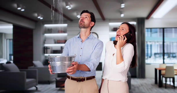 Best Carpet water damage restoration  in Ruston, LA